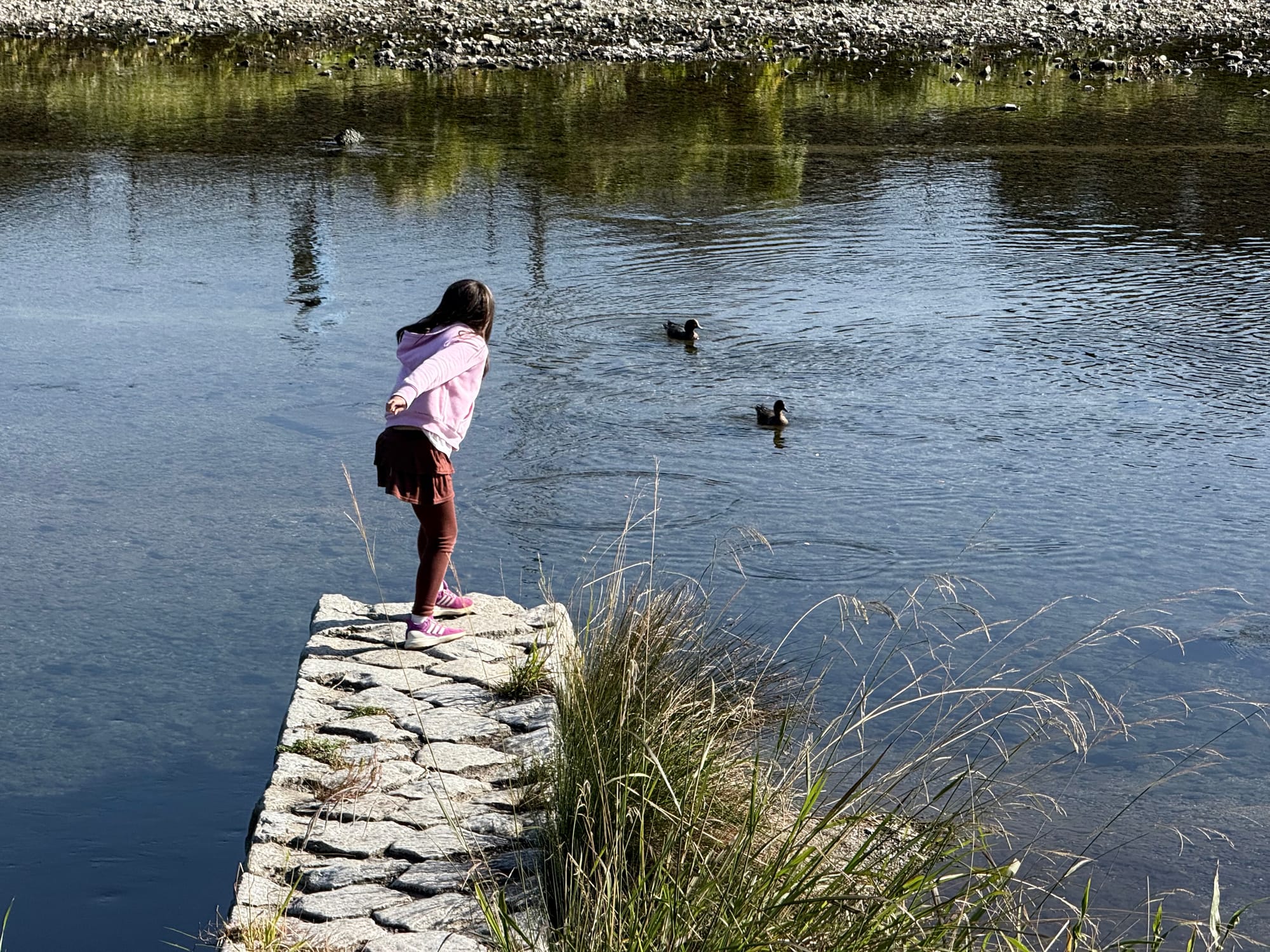 Our daughter feeding ducks in the Kamo River