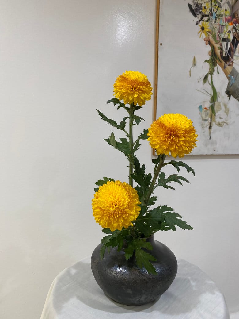 Chrysanthemum Festival: Celebrating Japan’s Flower of Longevity