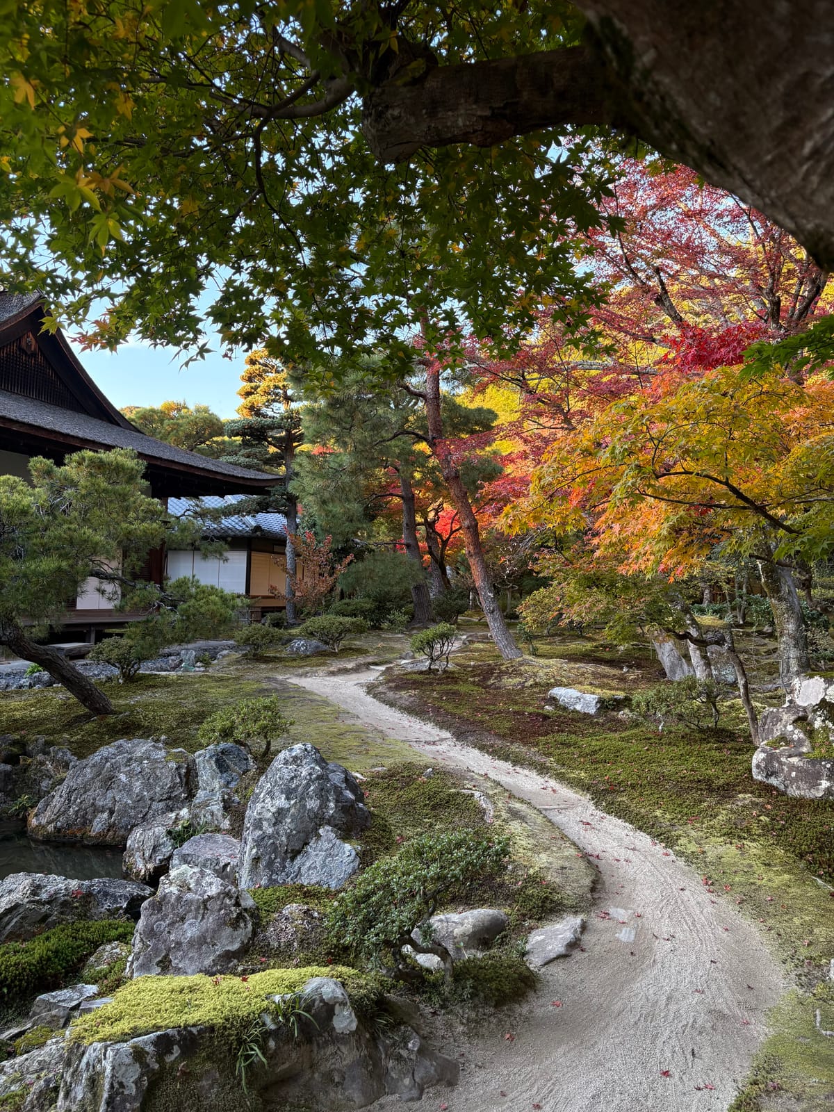 Kyoto Ikebana in Autumn with Chrysanthemums, Ginkakuji and Bonsai