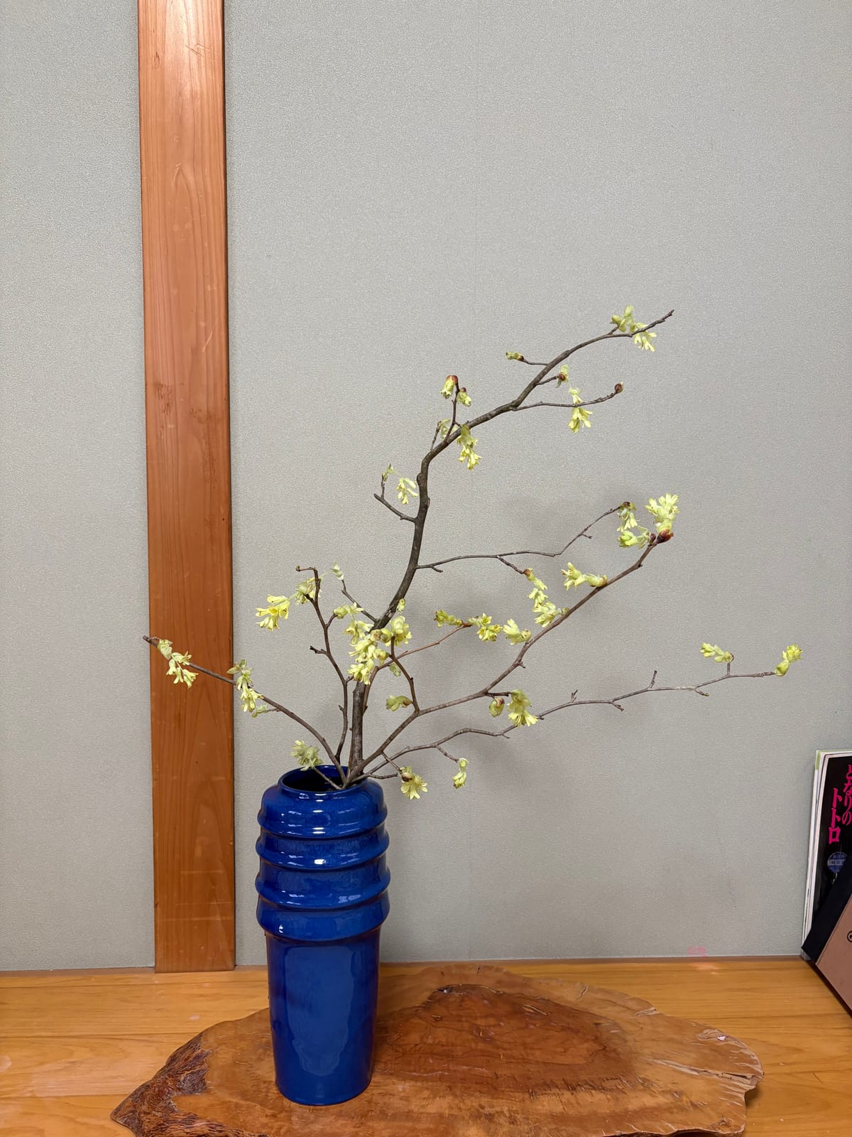 Branches in ikebana: finding the optimal direction
