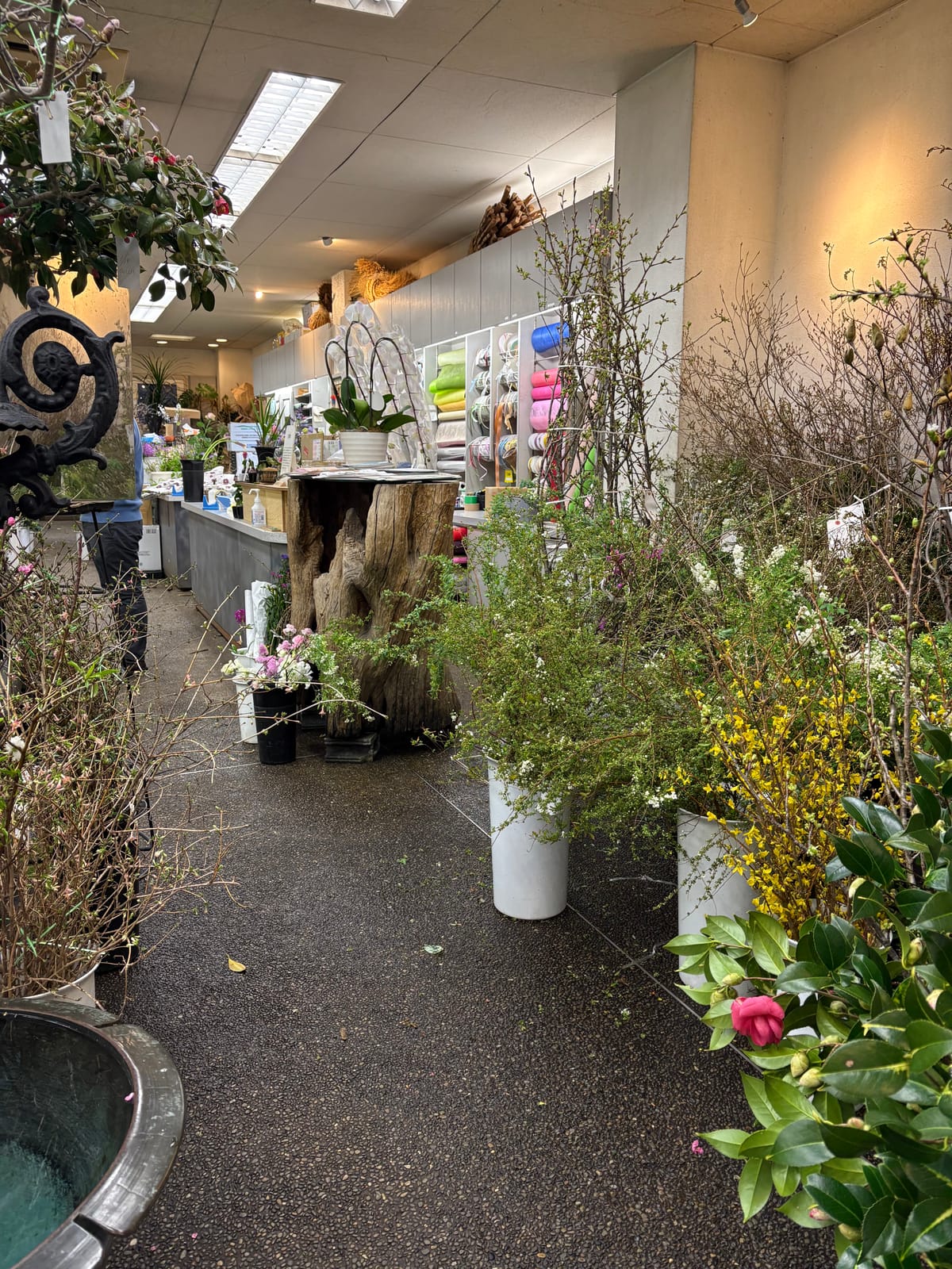 From Temple to Table: an Ikebana Journey in Kyoto