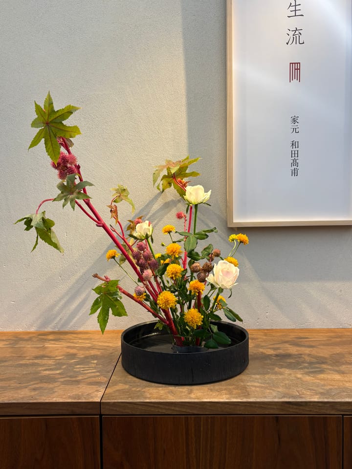 Balance in Bloom: Our First Kyoto Ikebana Class, Autumn Traditions, and Everyday Discoveries
