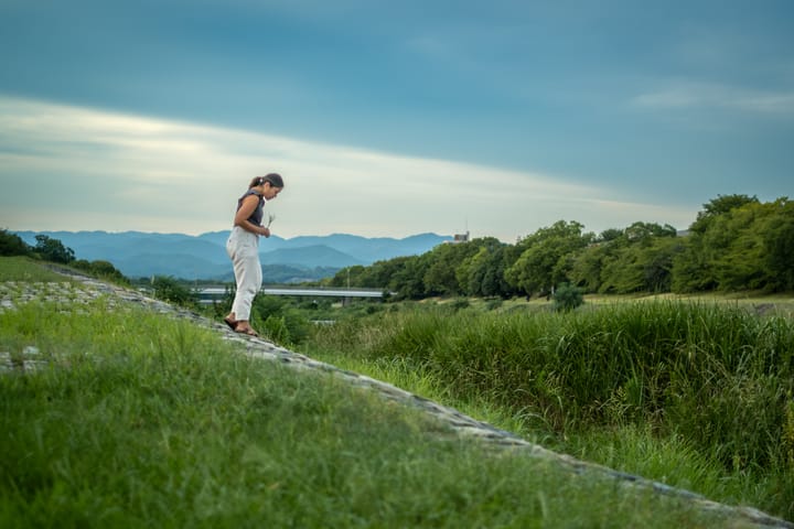 Kyoto Ikebana Classes + Tips for Working with Wildflowers